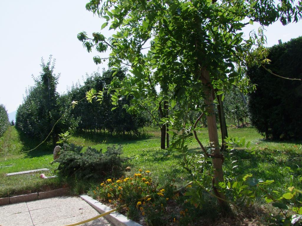 Agritur Fior Di Melo Daire Nanno Dış mekan fotoğraf