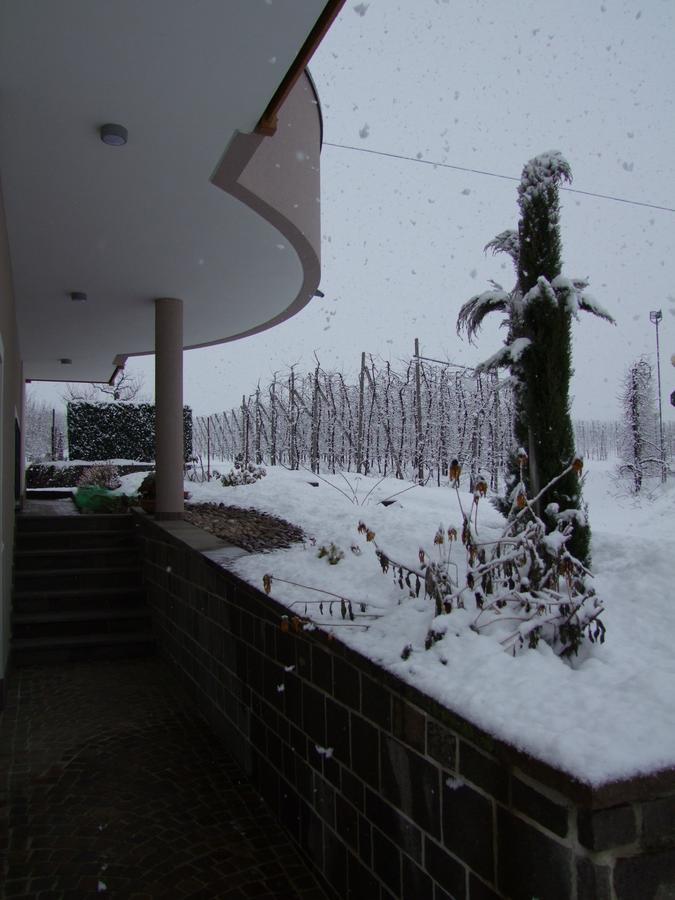 Agritur Fior Di Melo Daire Nanno Dış mekan fotoğraf